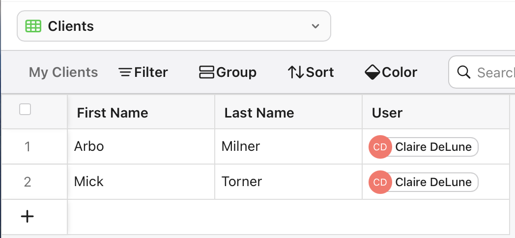 Data Filters, configured team member view