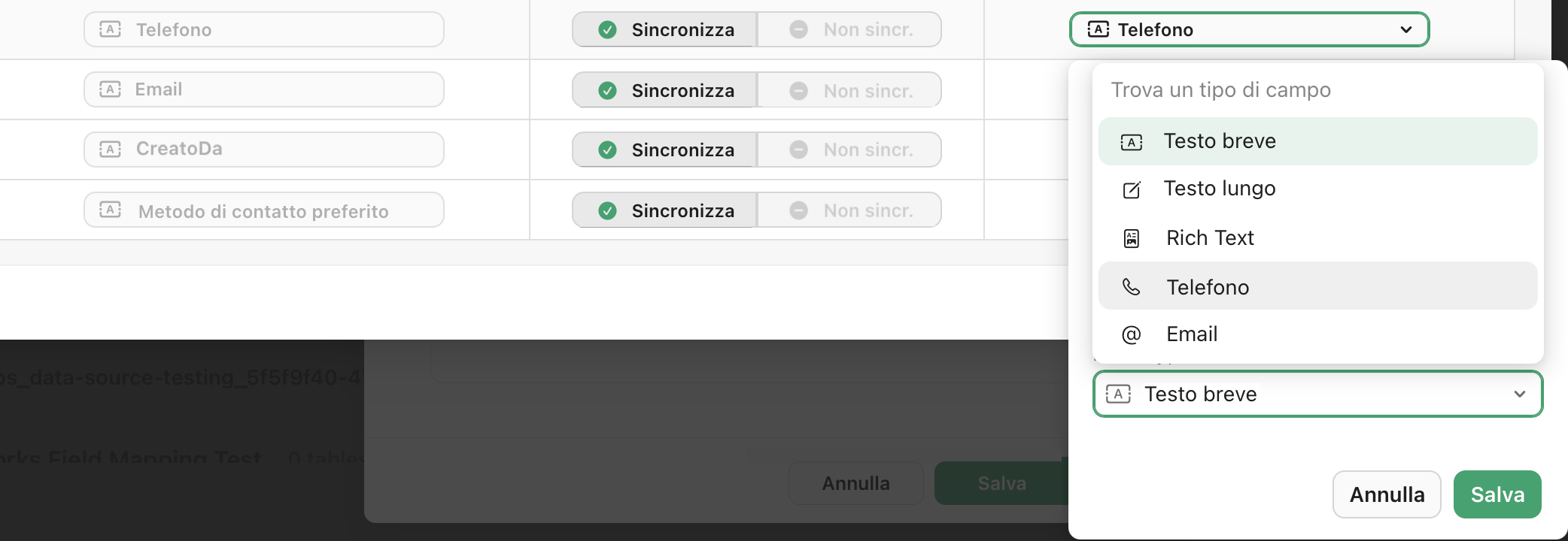 Origini dati, Configura mappature campi, Tipo di campo Remp