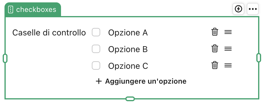 Oggetto campo Caselle di controllo