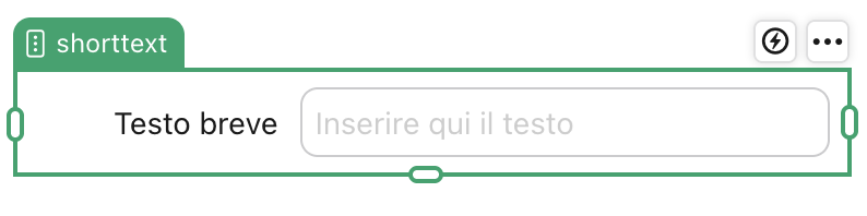 Oggetto campo Testo breve